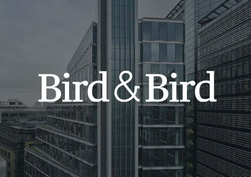 Bird & Bird studio Bird & Bird studio
